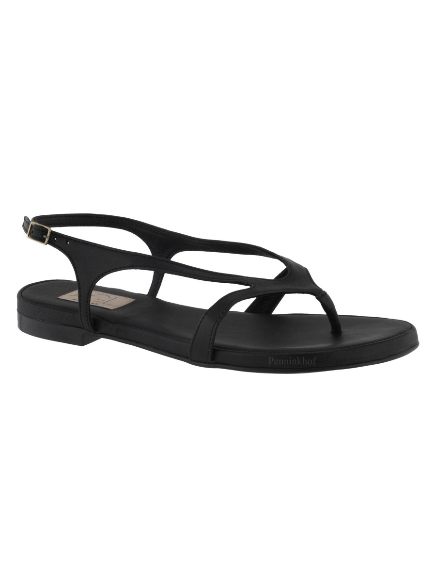 Schoenen AGL  | Agl Sveva Pure D656068Ph Sandalen Zwart